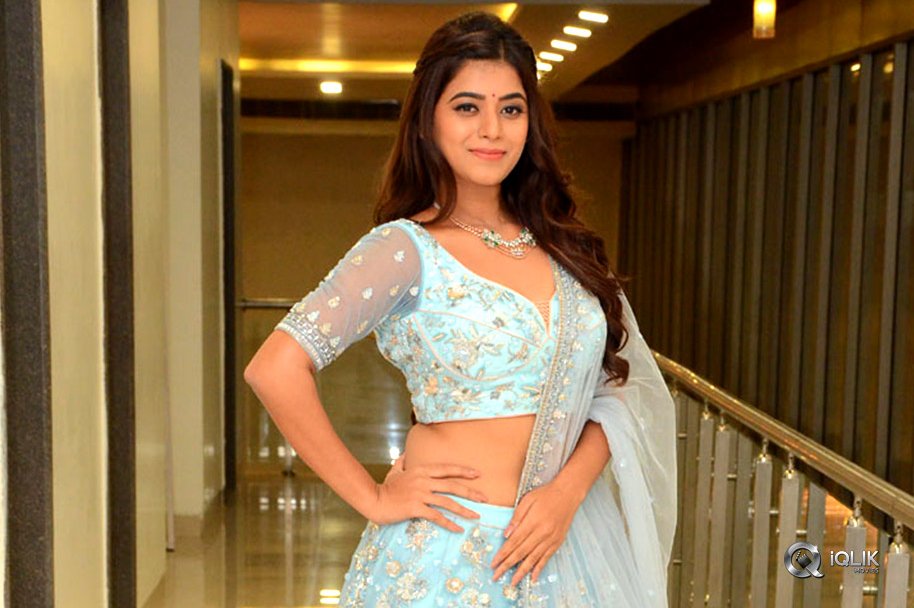 Yamini-at-Nartanasala-Pre-Release-Event